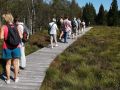 hochmoorwanderung 24.08.24  