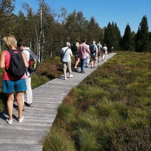 hochmoorwanderung 24.08.24  